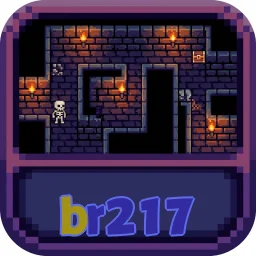 br217